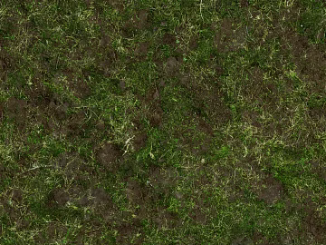 Turf texture (ID:ffagf4044)