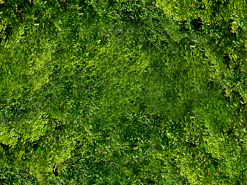 Plants texture (ID:ffajg73210)