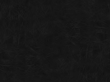 Black and white leather texture (ID:ffach100416)