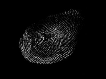 Fingerprint texture (ID:ffagg64374)