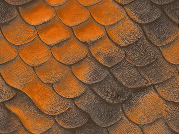 animal skin texture (ID:ffach547631)