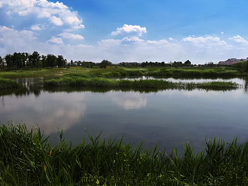 Pastoral scenery texture (ID:ffagg19825)