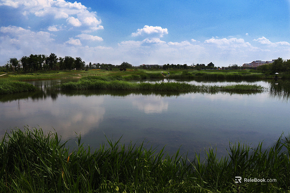 Pastoral scenery texture
