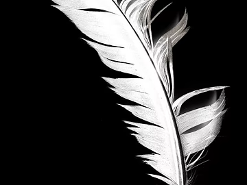 black and white painting texture (ID:ffaag53866)