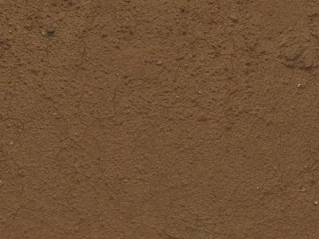 Mud texture (ID:ffaeg58580)