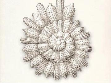 decorative painting texture (ID:ffaeg56537)