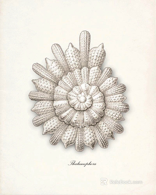 decorative painting texture