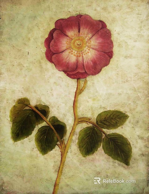 Plant painting texture