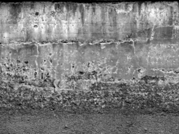 Grey cement texture wall (ID:ffaeh388189)