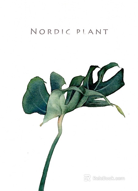 Flower Painting Hanging Painting Decorative Painting Plant Painting texture