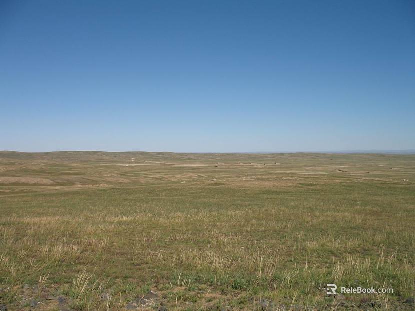 Wild Scenery texture