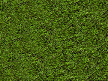 Plants texture (ID:ffacg08172)