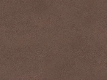 fine grain leather texture (ID:ffaif7543)