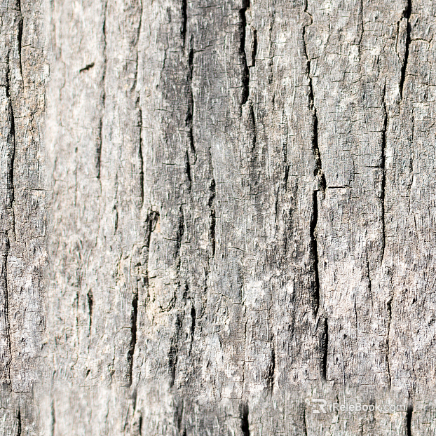 Wooden bark wood veneer wood wood bark trees texture