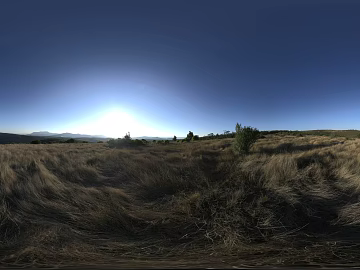 Outdoor Wild Grass Landscape Night HDR texture (ID:ffabg02951)