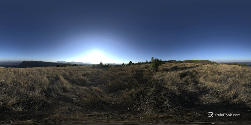 Outdoor Wild Grass Landscape Night HDR texture