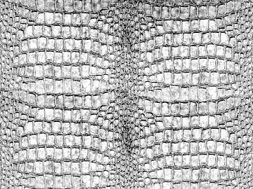 Off-white crocodile leather soft fabric 3d model