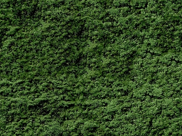 Turf texture (ID:ffacg34183)