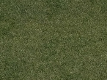Turf texture (ID:ffajg66922)
