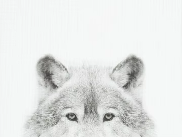 Animal painting texture (ID:ffaaf2862)