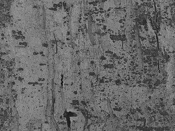 Black and White Bump texture (ID:ffaag51499)