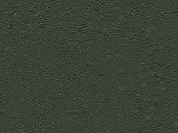 fine grain leather texture (ID:ffacg16324)