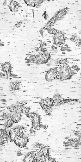 Black and White Bump texture
