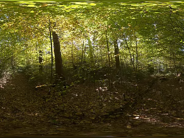 Daytime forest grassland HDR texture (ID:ffabg89181)
