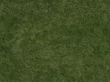 Turf texture (ID:ffagg58528)