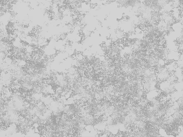 Black and White Bump 3d model