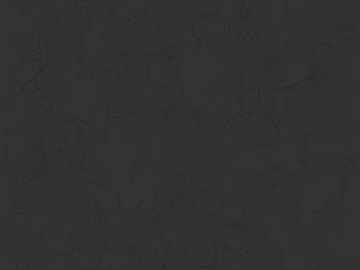 Black and White Bump texture (ID:ffaef6245)