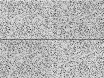 Granite Sesame Ash Burned Face Washed Granite texture (ID:ffajf1665)