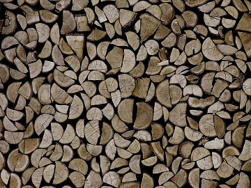 Trunk section texture (ID:ffaag71155)