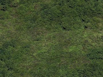mountain ground rock forest texture (ID:ffach407638)