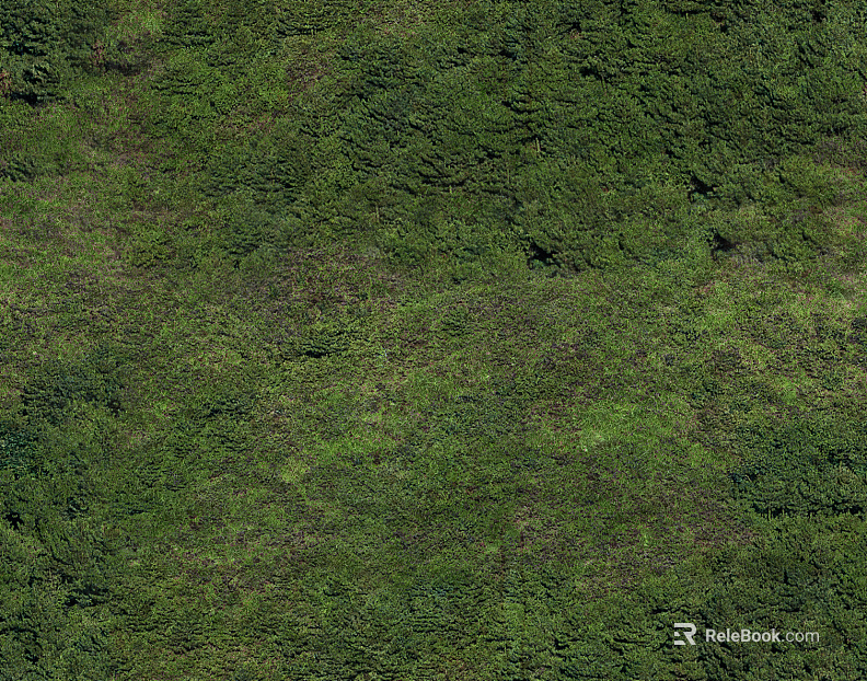 mountain ground rock forest texture