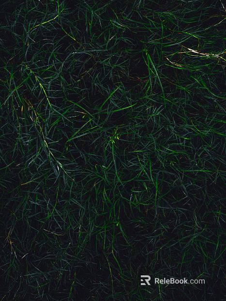 Turf texture