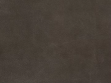 fine grain leather texture (ID:ffhde949)