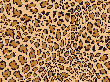 Leopard print tiger print animal print texture (ID:ffach904978)