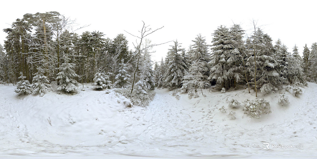 Outdoor Winter Snow Forest HDR texture