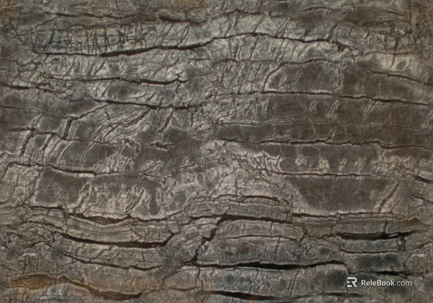 bark texture