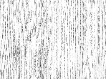 Black and white wood grain texture (ID:ffach049486)