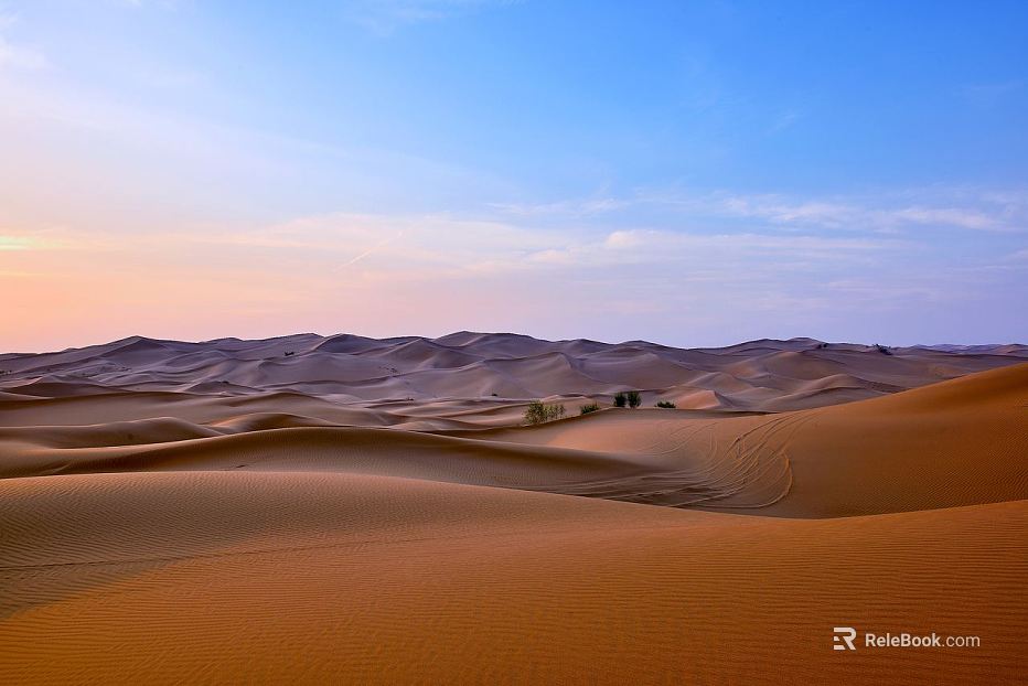 Wild Scenery texture