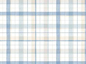 Plaid texture (ID:ffaeg33107)