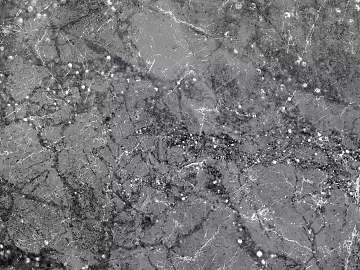 Black and White Bump texture (ID:ffajg27746)