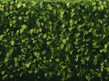 leaves texture (ID:ffajg35788)
