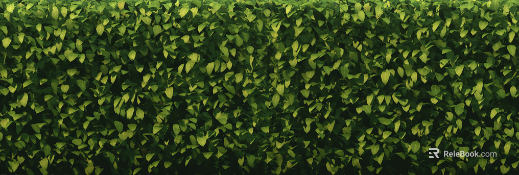 leaves texture