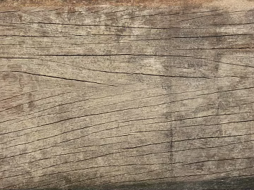 old wood texture (ID:ffach017756)