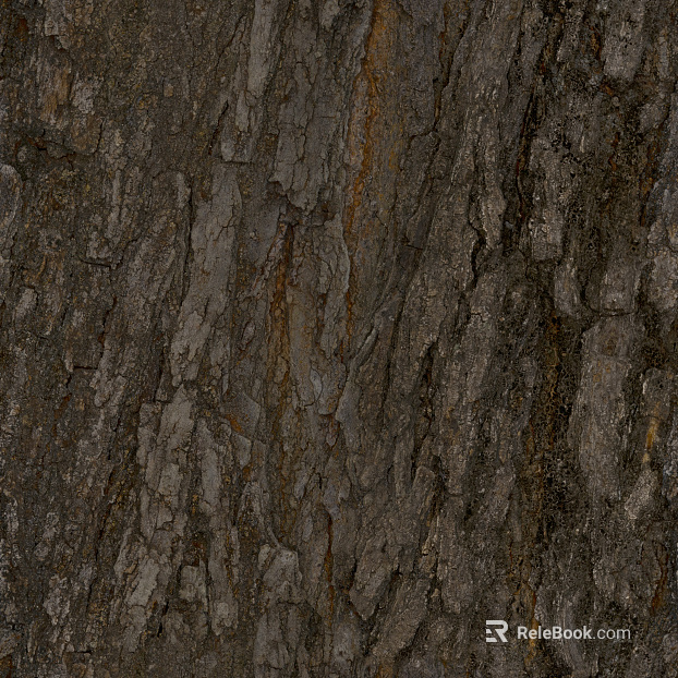 bark texture