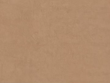 Mud texture (ID:ffaag74075)
