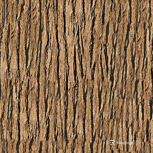 bark texture